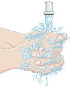 Tvätta dina händer noggrant med tvål och vatten.