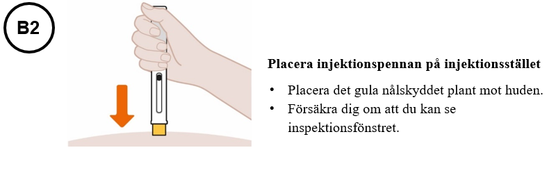 Bild B2