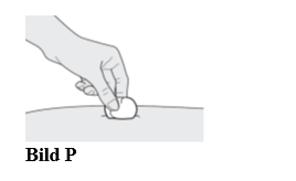 Bild P