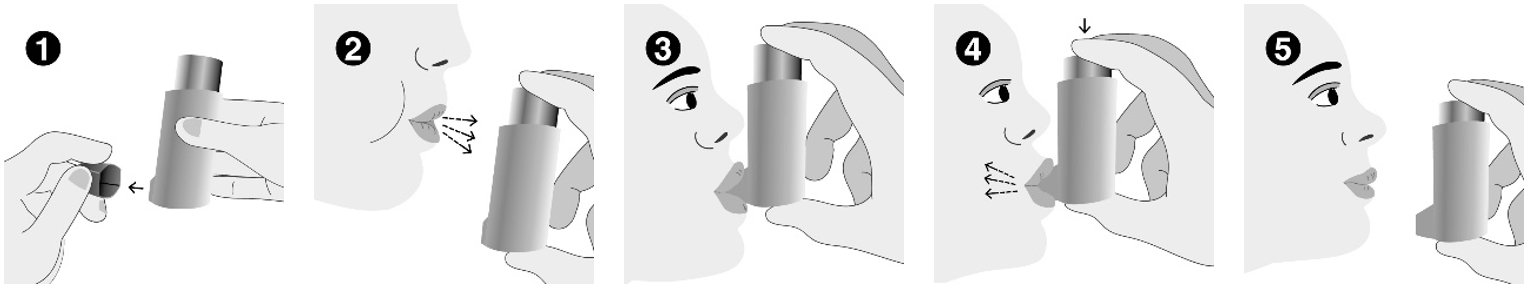 Användning av inhalatorn