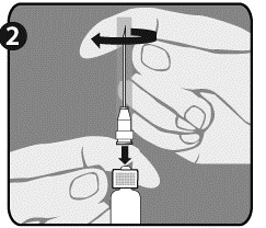 Håll sprutan (E) i ett stadigt grepp med ena handen på det vita räfflade sprutspetsfästet (D). För in nålen (F) med den andra handen och vrid medurs tills den låses på plats. Så snart nålen sitter fast avlägsnar du dess plastskydd (G).