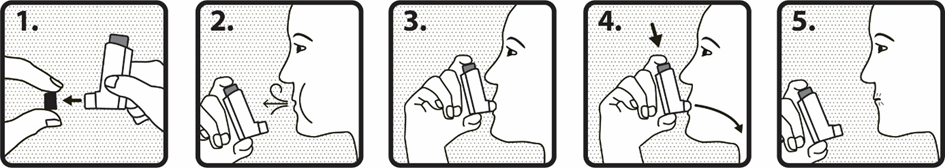 Användning av inhalatorn
