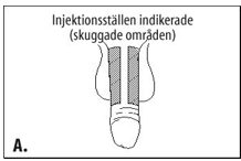 Bild A: Injektionen görs i den del av penis som är skuggad.