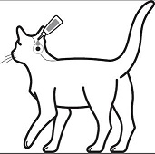 Bravecto medelstora katter (>2,8-6,25 kg) - FASS Djurläkemedel