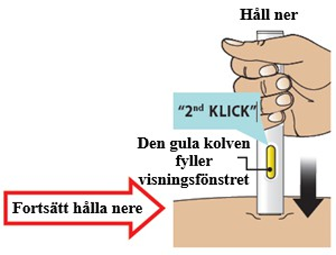 Bild Q