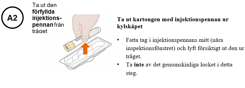 Bild A2