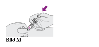 Bild M