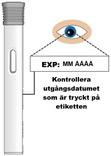 Bild D