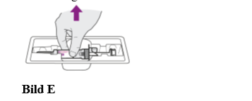 Bild E