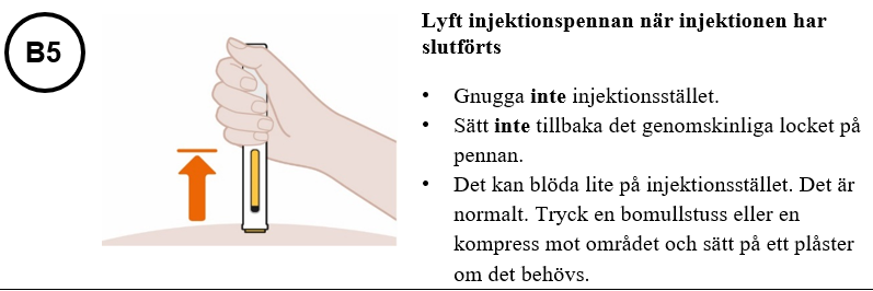 Bild B5
