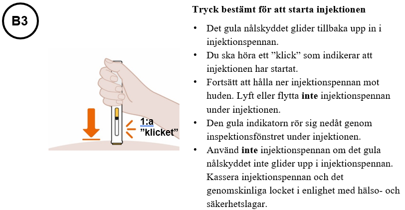 Bild B3
