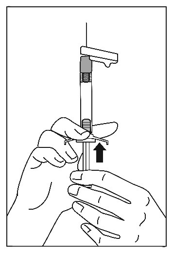 6.	Vänd sprutan med den anslutna kanylen uppåt för att avlägsna luft. Avlägsna luft i sprutan genom att försiktigt trycka fram pistongen.