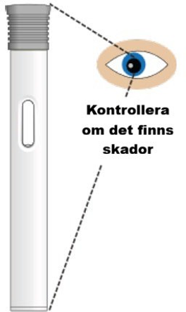 Bild C