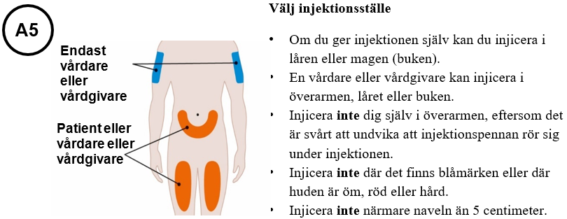 Bild A5