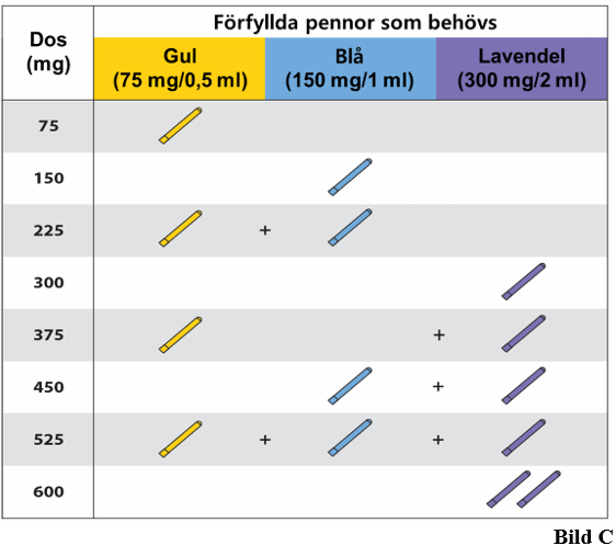Bild C