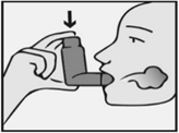 Andas in långsamt och djupt genom munnen och just efter att inandning påbörjats, pressa ner ordentligt på toppen av inhalatorn för att spraya en dos. 