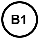 B1